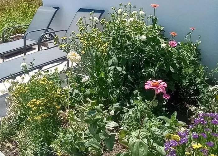 A Casa De Fora * Muros